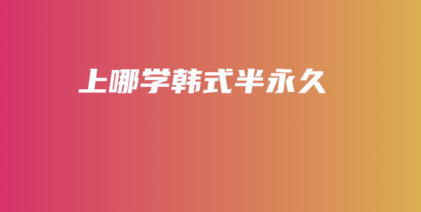 上哪学韩式半永久插图