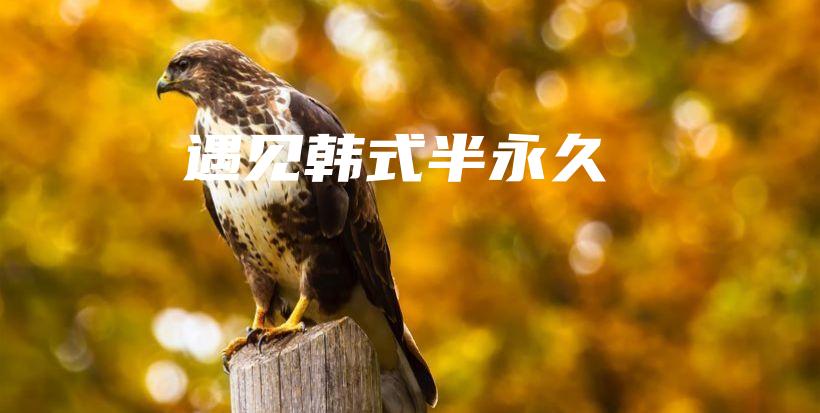 遇见韩式半永久插图