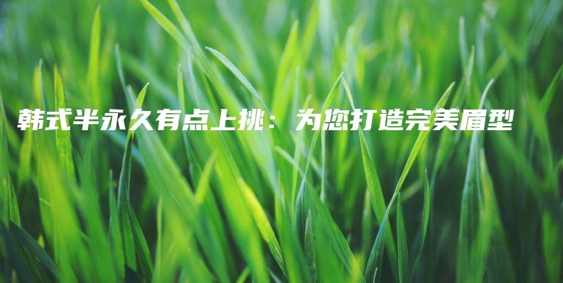 韩式半永久有点上挑：为您打造完美眉型插图