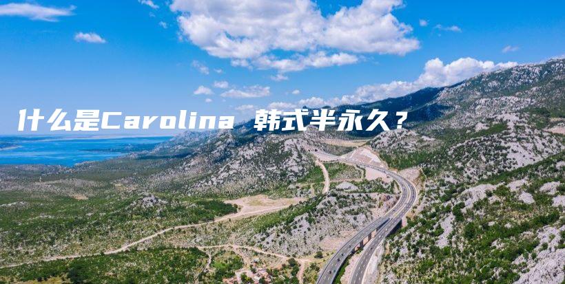 什么是Carolina 韩式半永久？插图