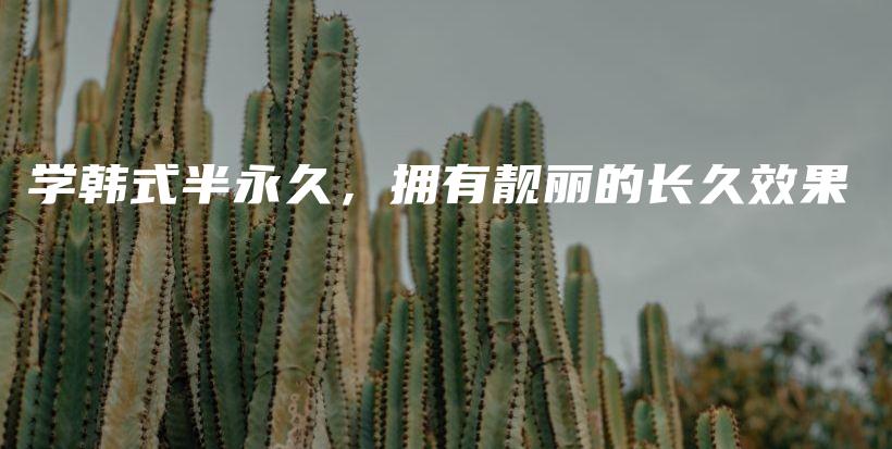 学韩式半永久，拥有靓丽的长久效果插图