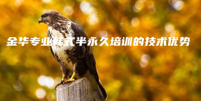 金华专业韩式半永久培训的技术优势插图