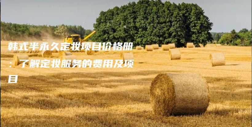 韩式半永久定妆项目价格册：了解定妆服务的费用及项目插图