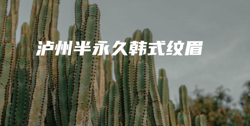 泸州半永久韩式纹眉插图