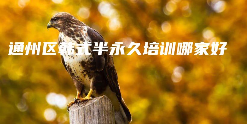 通州区韩式半永久培训哪家好插图