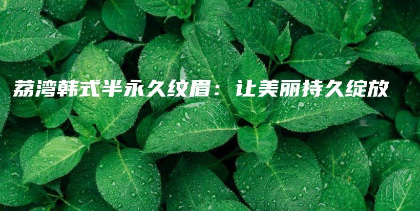 荔湾韩式半永久纹眉：让美丽持久绽放插图