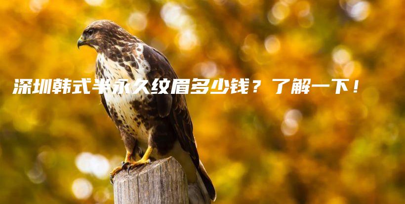 深圳韩式半永久纹眉多少钱？了解一下！插图