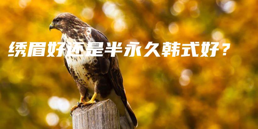 绣眉好还是半永久韩式好？插图