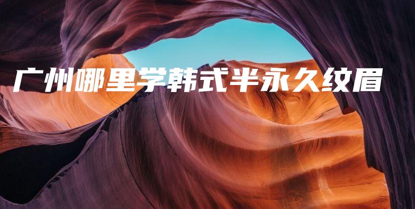 广州哪里学韩式半永久纹眉插图