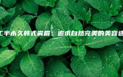 手工半永久韩式雾眉：追求自然完美的美容选择