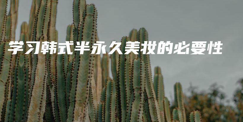 学习韩式半永久美妆的必要性插图