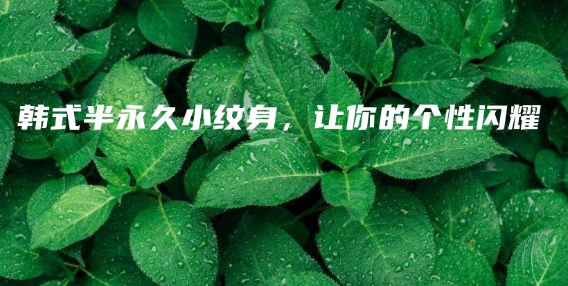 韩式半永久小纹身，让你的个性闪耀插图