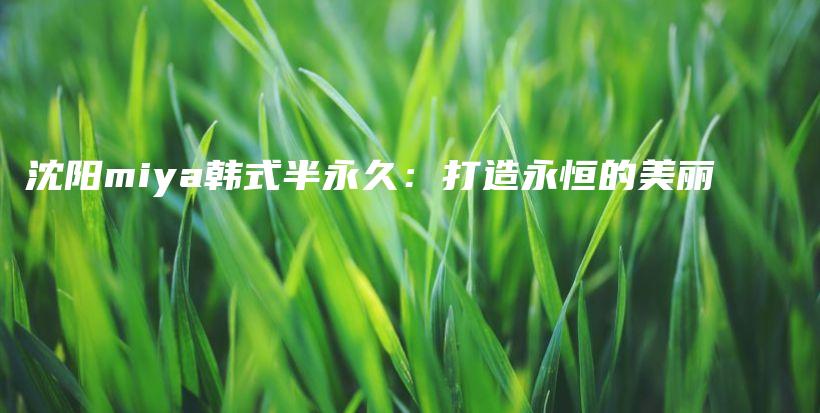 沈阳miya韩式半永久：打造永恒的美丽插图