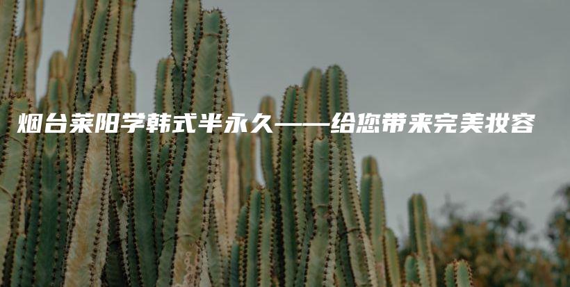 烟台莱阳学韩式半永久——给您带来完美妆容插图