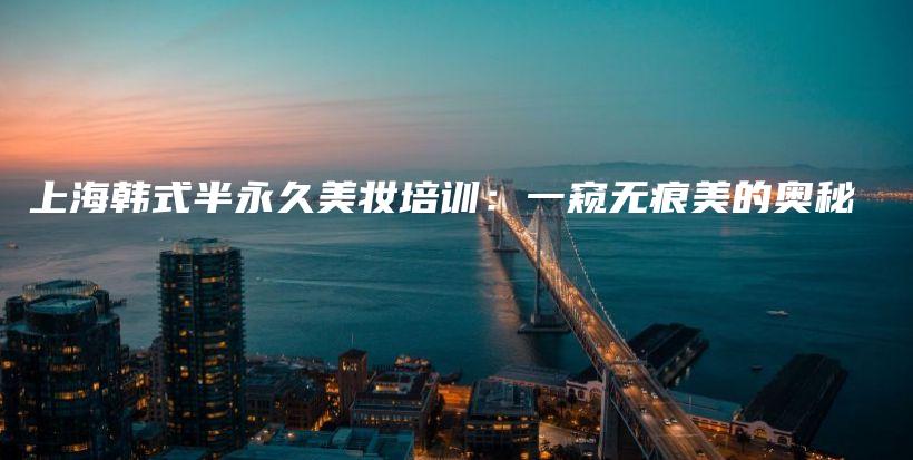 上海韩式半永久美妆培训：一窥无痕美的奥秘插图