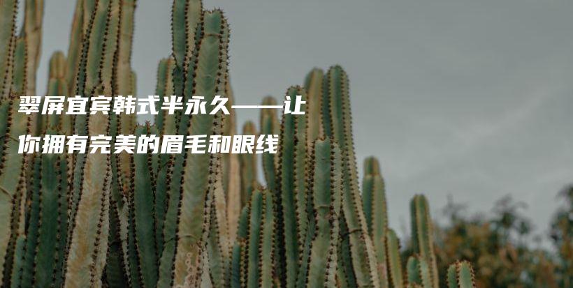 翠屏宜宾韩式半永久——让你拥有完美的眉毛和眼线插图