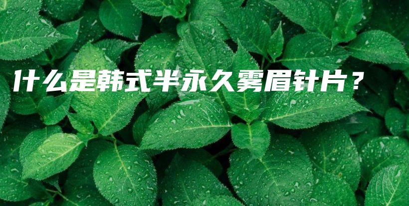 什么是韩式半永久雾眉针片？ – Anne美学插图4