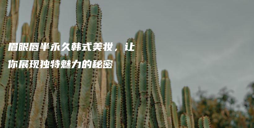 眉眼唇半永久韩式美妆，让你展现独特魅力的秘密插图