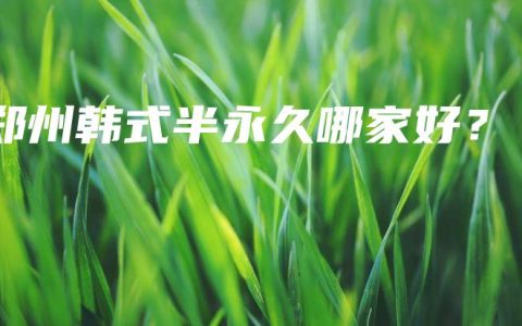 郑州韩式半永久哪家好？