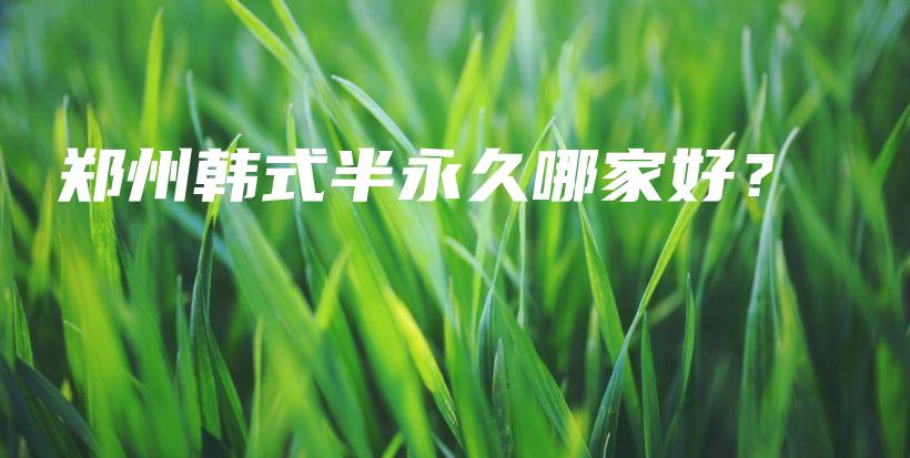 郑州韩式半永久哪家好？插图