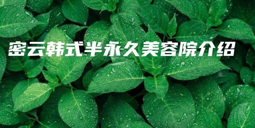 密云韩式半永久美容院介绍插图
