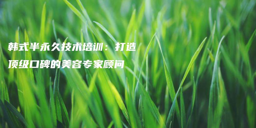 韩式半永久技术培训：打造顶级口碑的美容专家顾问插图