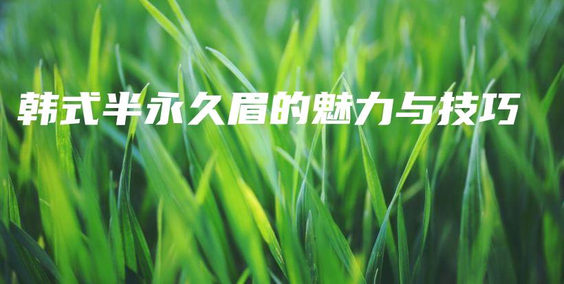 韩式半永久眉的魅力与技巧插图