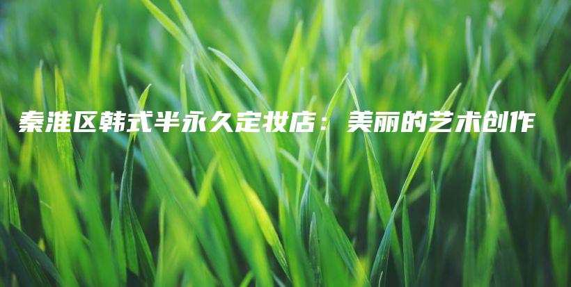 秦淮区韩式半永久定妆店：美丽的艺术创作插图