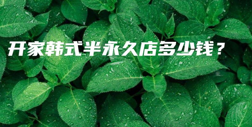 开家韩式半永久店多少钱？插图