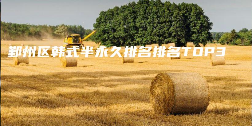 鄞州区韩式半永久排名排名TOP3插图