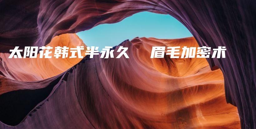 太阳花韩式半永久  眉毛加密术插图