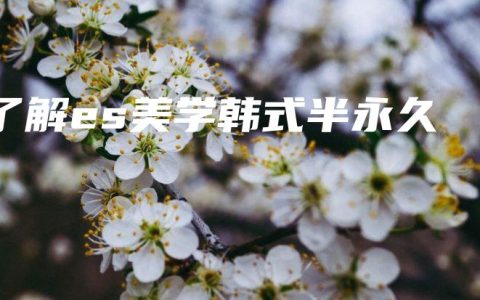了解es美学韩式半永久