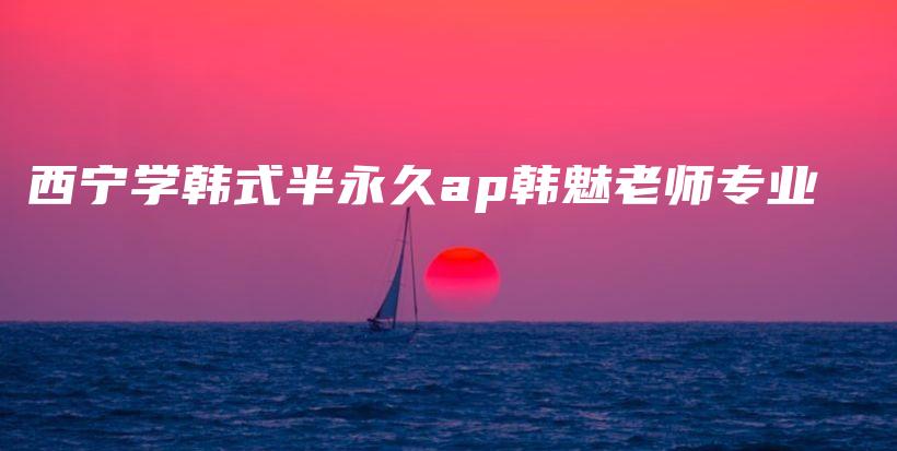 西宁学韩式半永久ap韩魅老师专业插图