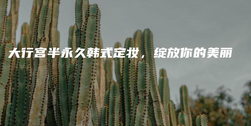 大行宫半永久韩式定妆，绽放你的美丽插图