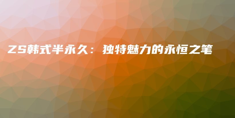 ZS韩式半永久：独特魅力的永恒之笔插图