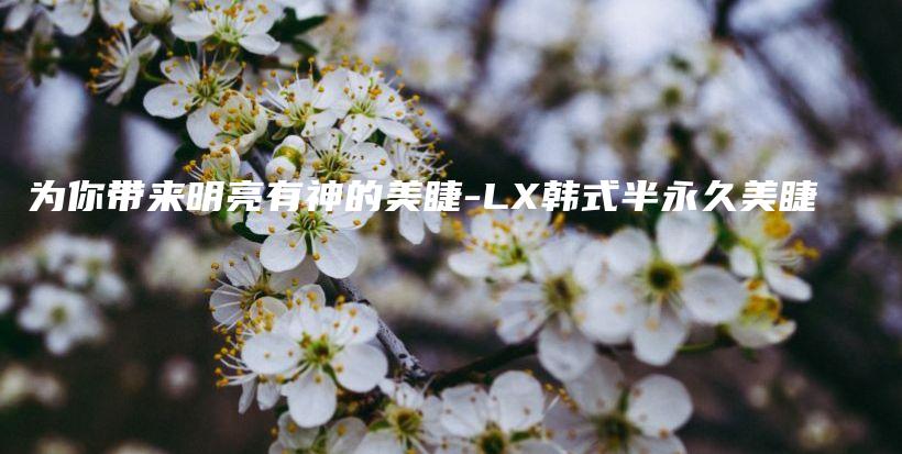 为你带来明亮有神的美睫-LX韩式半永久美睫插图