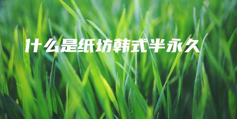 什么是纸坊韩式半永久插图
