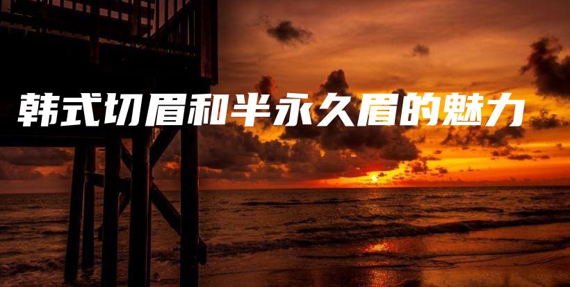 韩式切眉和半永久眉的魅力插图