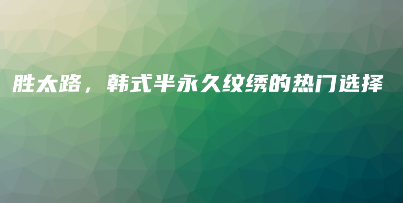 胜太路，韩式半永久纹绣的热门选择插图