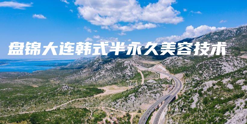 盘锦大连韩式半永久美容技术插图