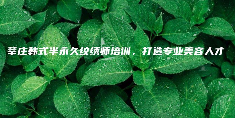 莘庄韩式半永久纹绣师培训，打造专业美容人才插图