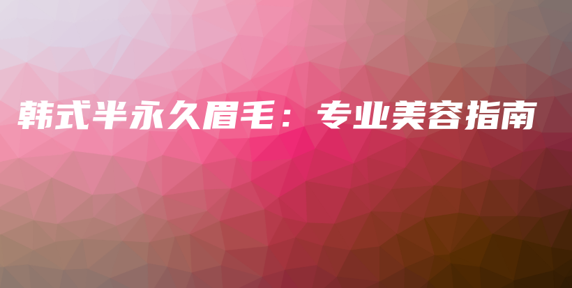 韩式半永久眉毛：专业美容指南插图