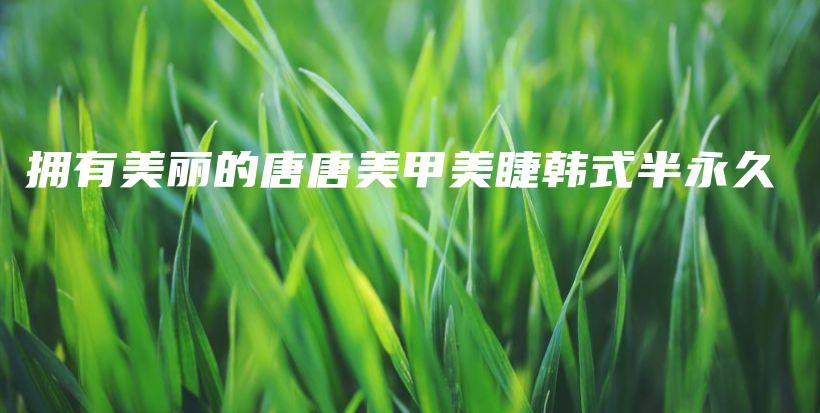 拥有美丽的唐唐美甲美睫韩式半永久插图