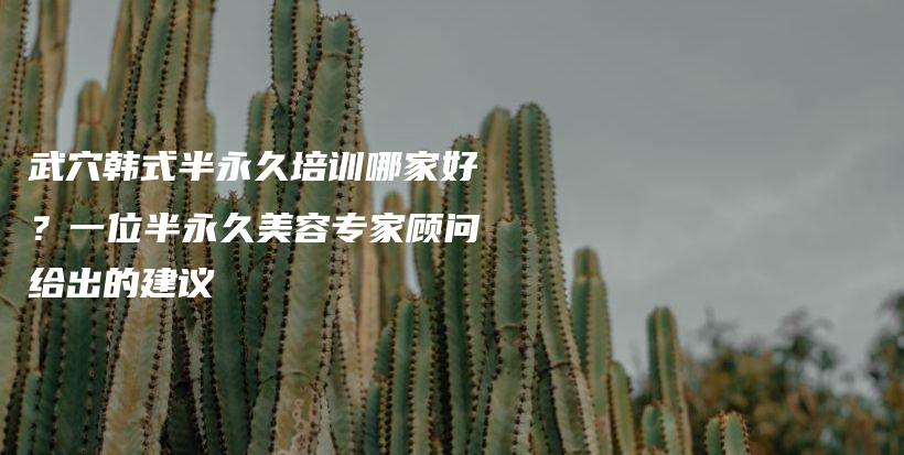 武穴韩式半永久培训哪家好？一位半永久美容专家顾问给出的建议插图