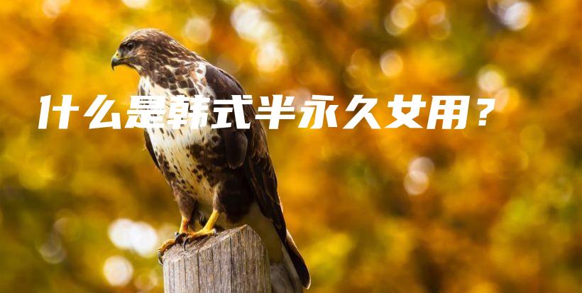 什么是韩式半永久女用？插图