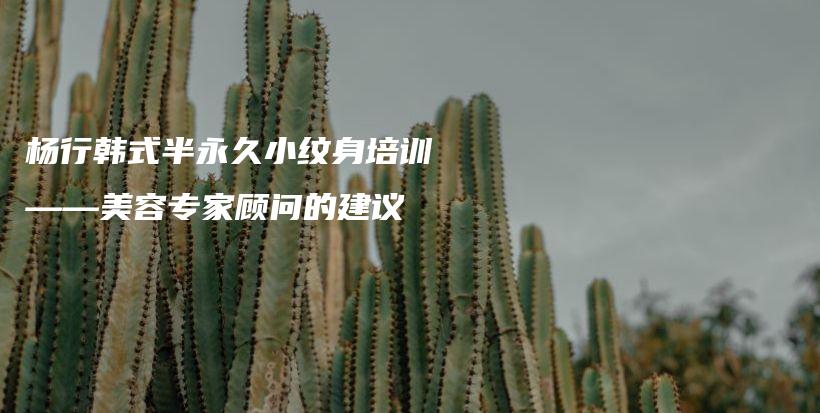 杨行韩式半永久小纹身培训——美容专家顾问的建议插图