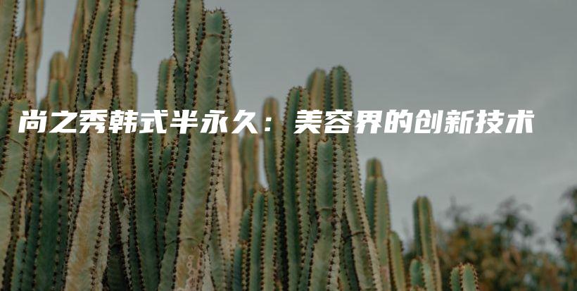 尚之秀韩式半永久：美容界的创新技术插图