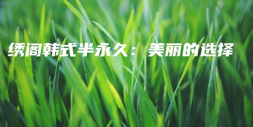 绣阁韩式半永久：美丽的选择插图