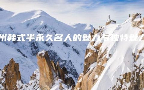 郑州韩式半永久名人的魅力与独特魅力