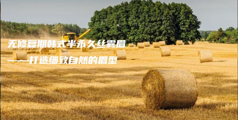 无修复期韩式半永久丝雾眉——打造细致自然的眉型插图